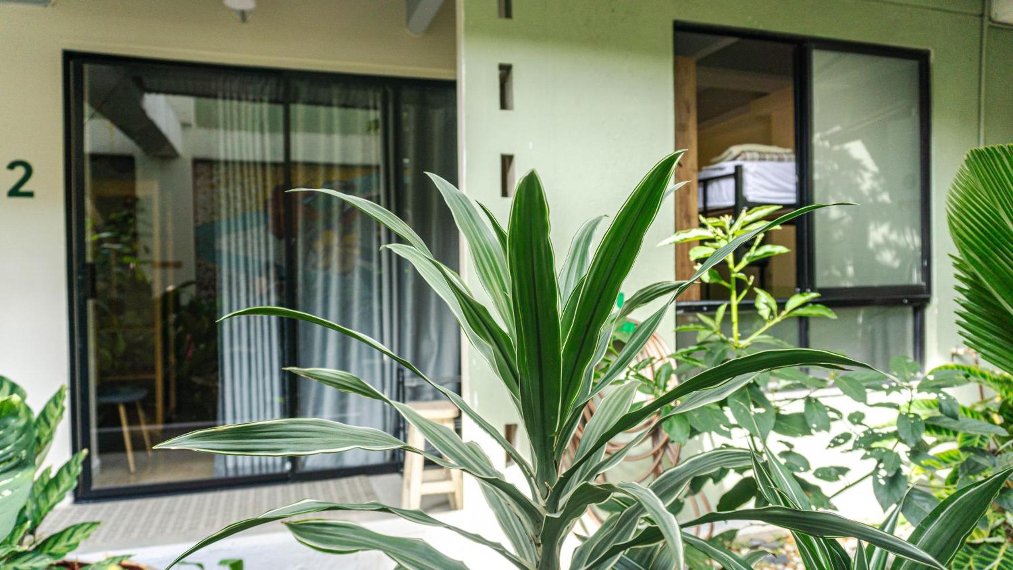 Selva House Acomodação com café da manhã Medellín Exterior foto