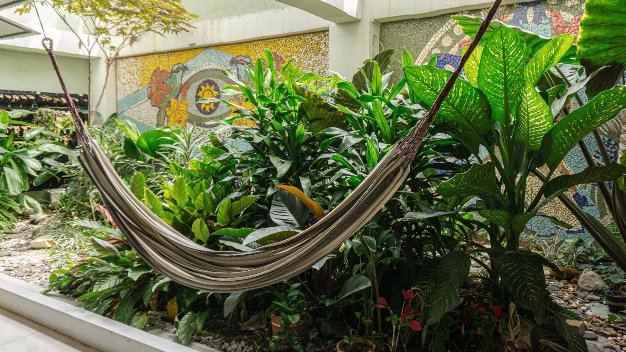 Selva House Acomodação com café da manhã Medellín Exterior foto